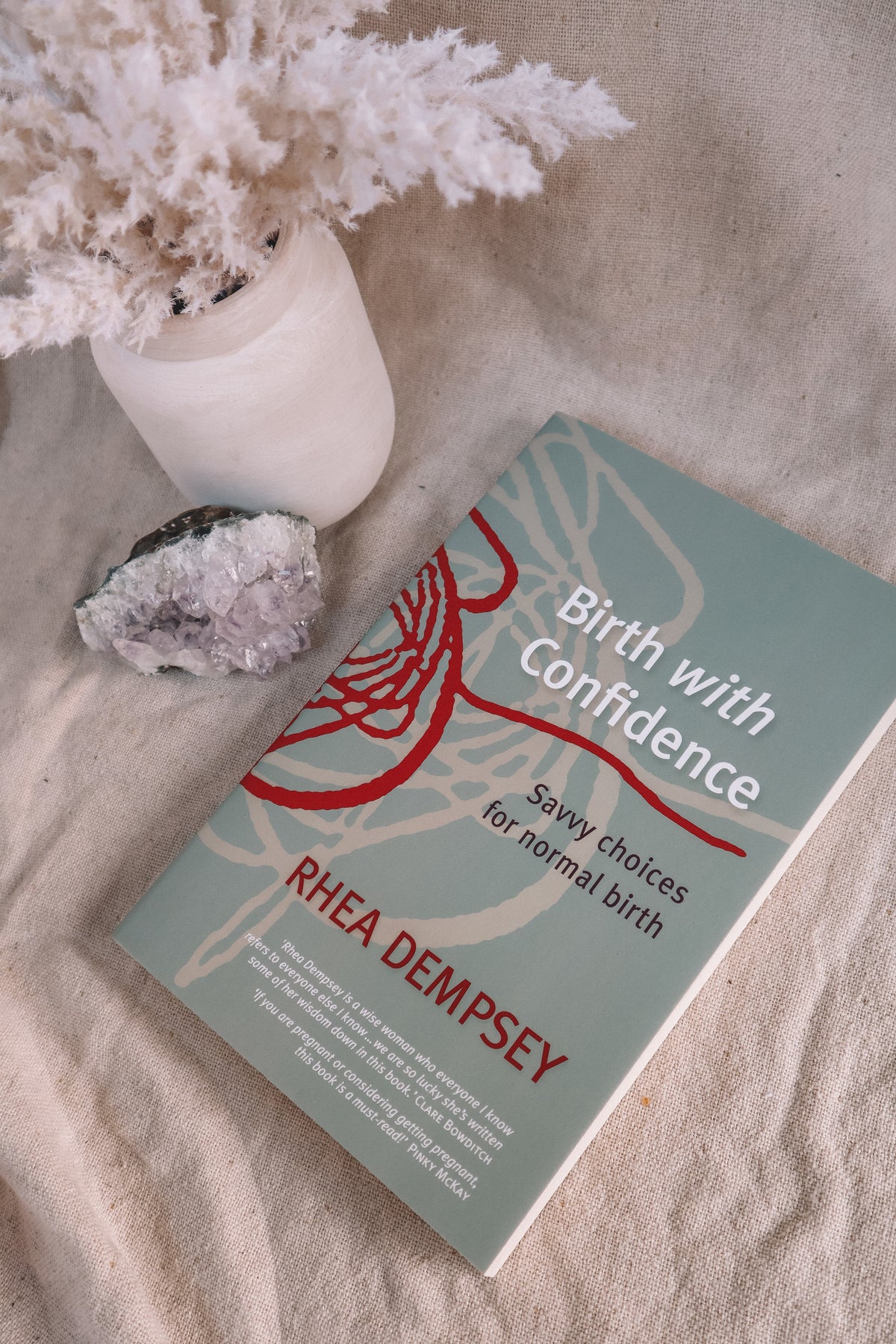 Birth with Confidence by Rhea Dempsey