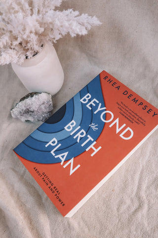 Beyond the Birth Plan by Rhea Dempsey