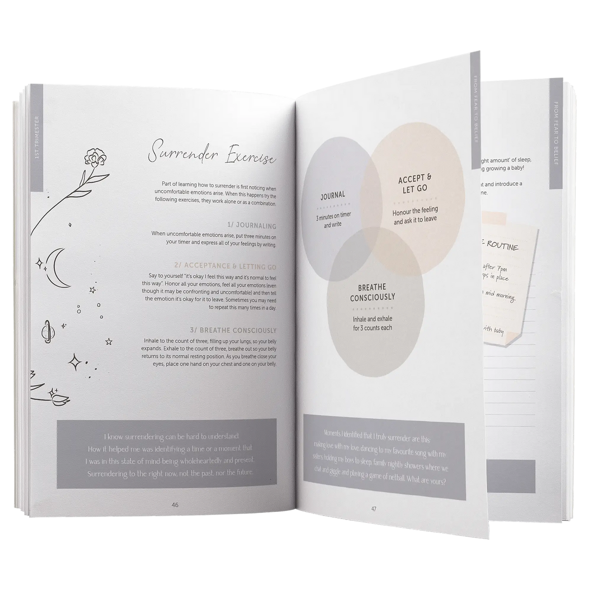 Birth Book by Justine Zappa